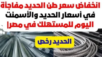 استقرار أسعار الحديد اليوم الجمعة 28 نوفمبر 2025 في مصر داخل المصانع والشركات